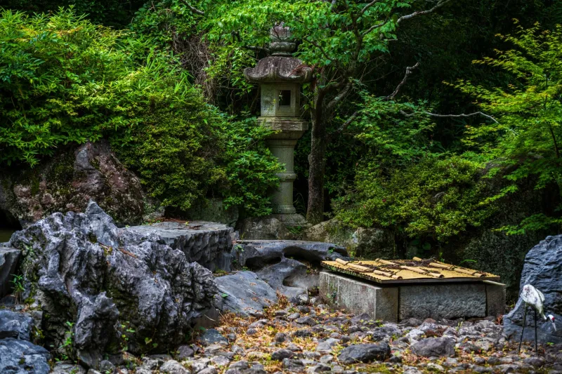 Reading the Room, Japanese Style: How the Art of Toki Can Transform the Way You Live and Decide
